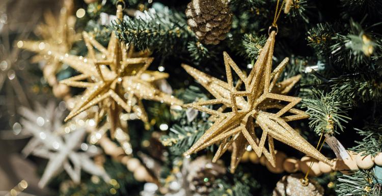 Gold stars hanging on a pine Christmas tree