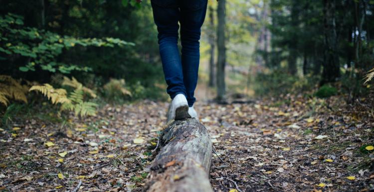Image of person's legs as they walk and balance along a fallen tree log in the woods.