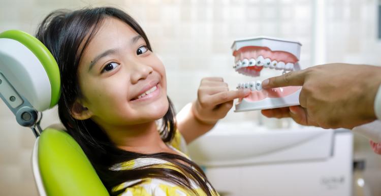 Young Asian girl in a dentist chair with her finger touching a mould of teeth and mouth