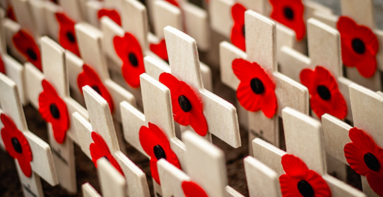 Remembrance Day Poppies