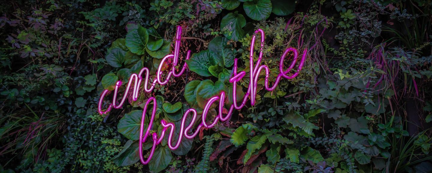 Purple neon sign saying 'and breathe' on a background of greenery