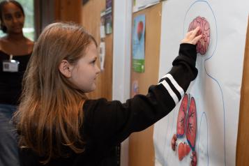 Auburn haired girl putting brain picture on outline drawing of human body with a black woman standing behind watching