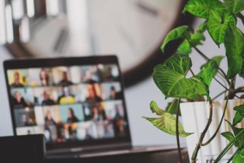 Desk with a laptop screen showing a virtual meeting and plant