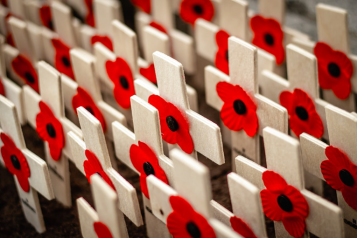 Remembrance Day Poppies