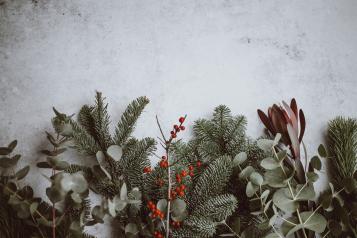 Green Christmas foliage on a white snowy background
