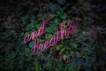 Purple neon sign saying 'and breathe' on a background of greenery